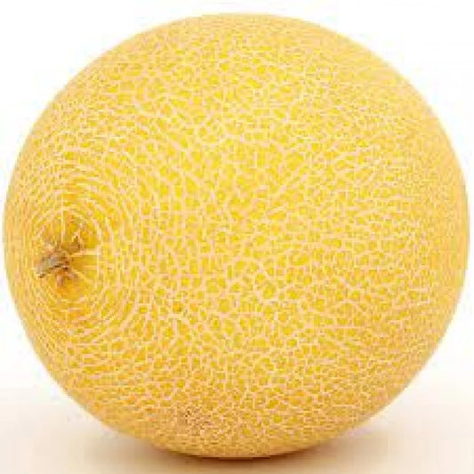 Muskmelon 1pc